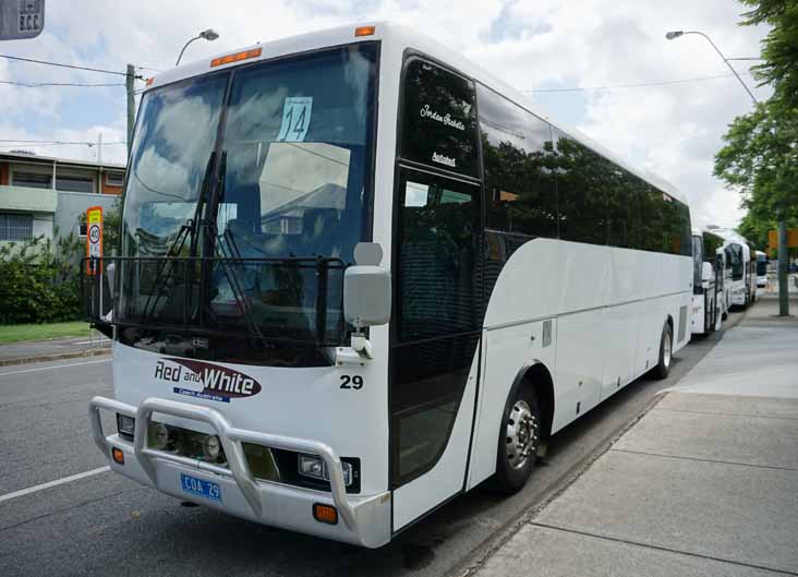 Red & White Autobus 29